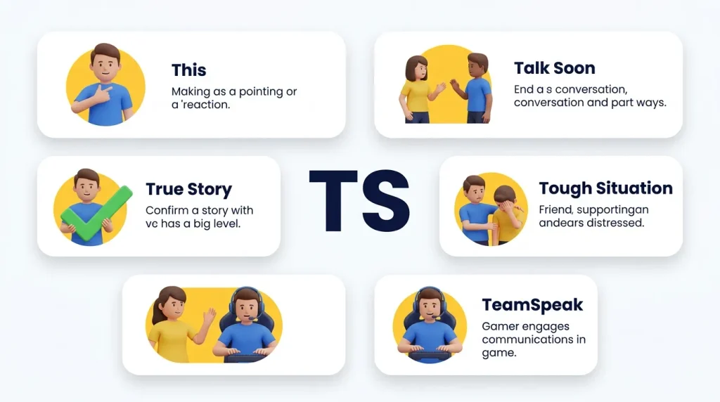 Common Meanings of TS
