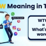WTW Meaning in Text Slang