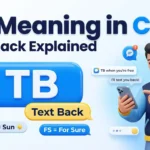 TB Meaning in Chat